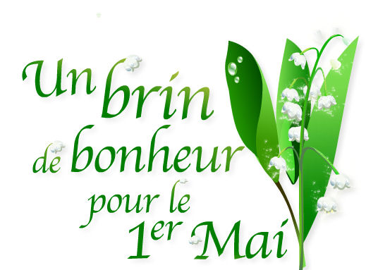 RÃ©sultat de recherche d'images pour "brin de muguet"